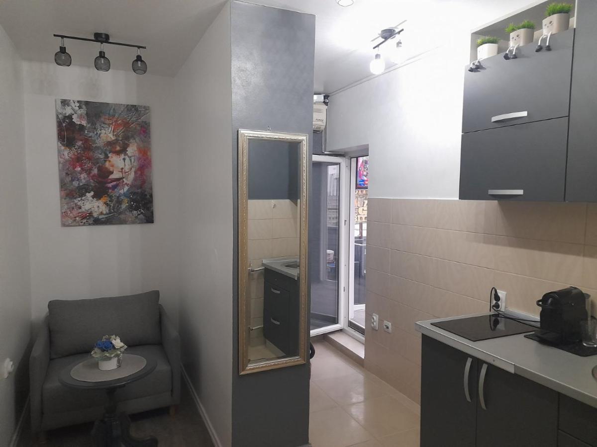 Apartman Pozoriste Penthaus Баня-Лука Экстерьер фото